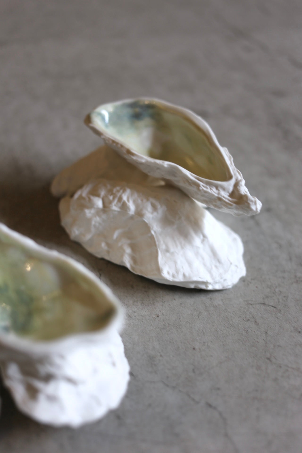 【éphēlis】Oyster Reef (3 pcs of oyster)