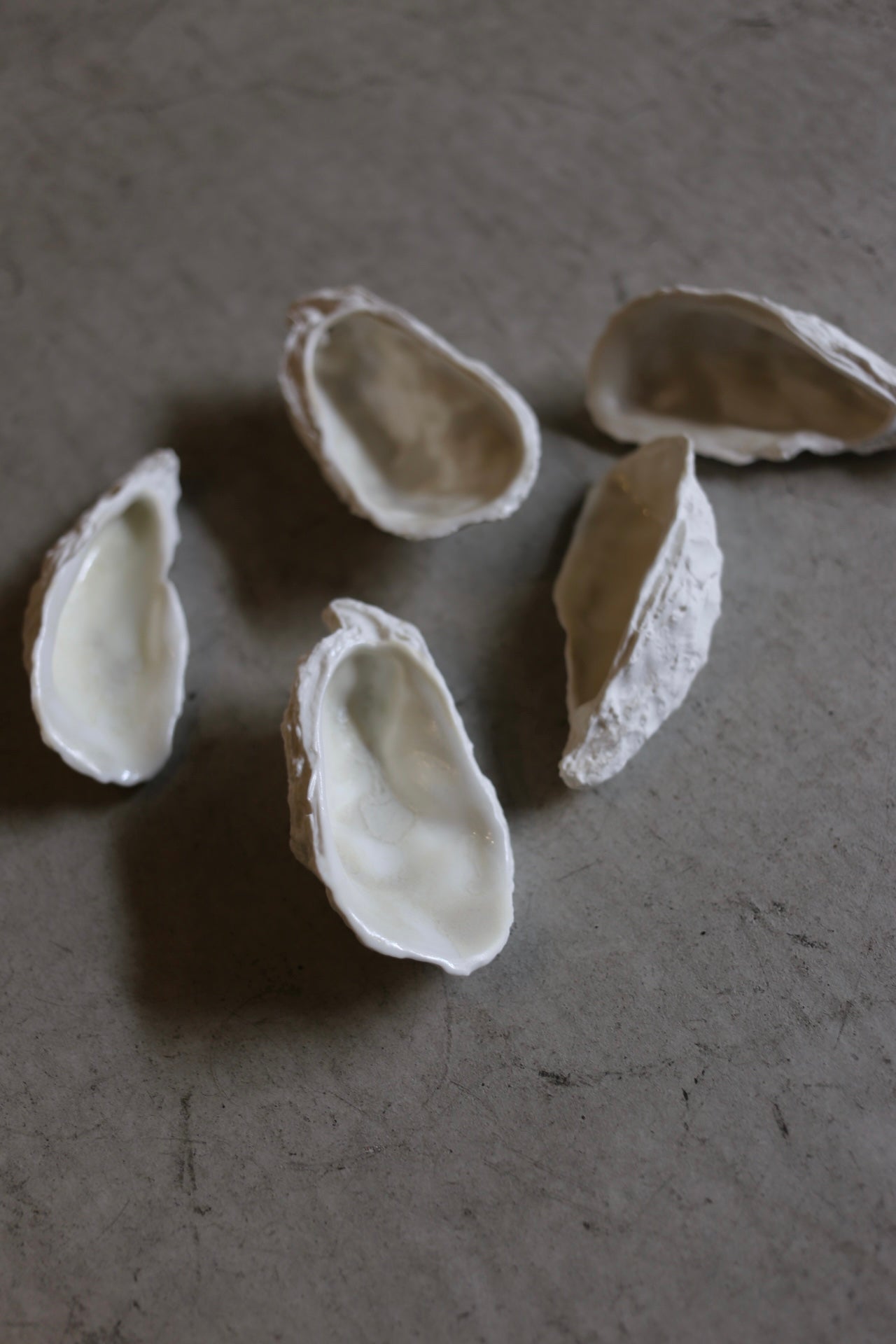【éphēlis】Oyster cast