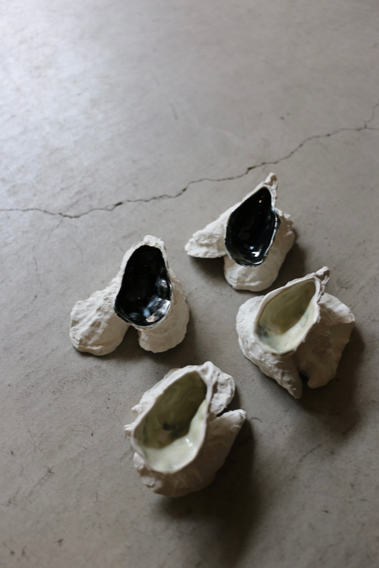 【éphēlis】Oyster Reef (3 pcs of oyster)