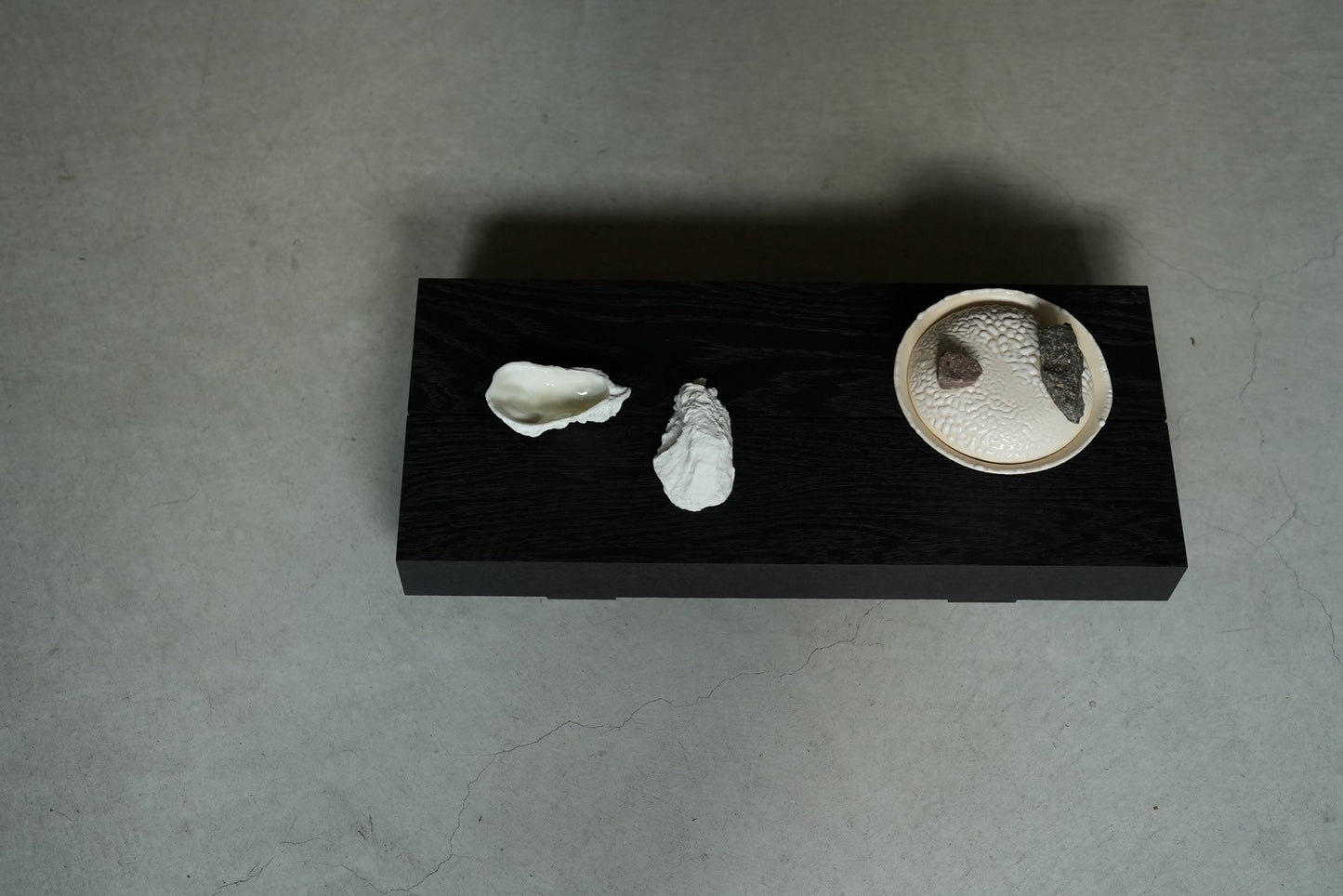 【éphēlis】Oyster cast