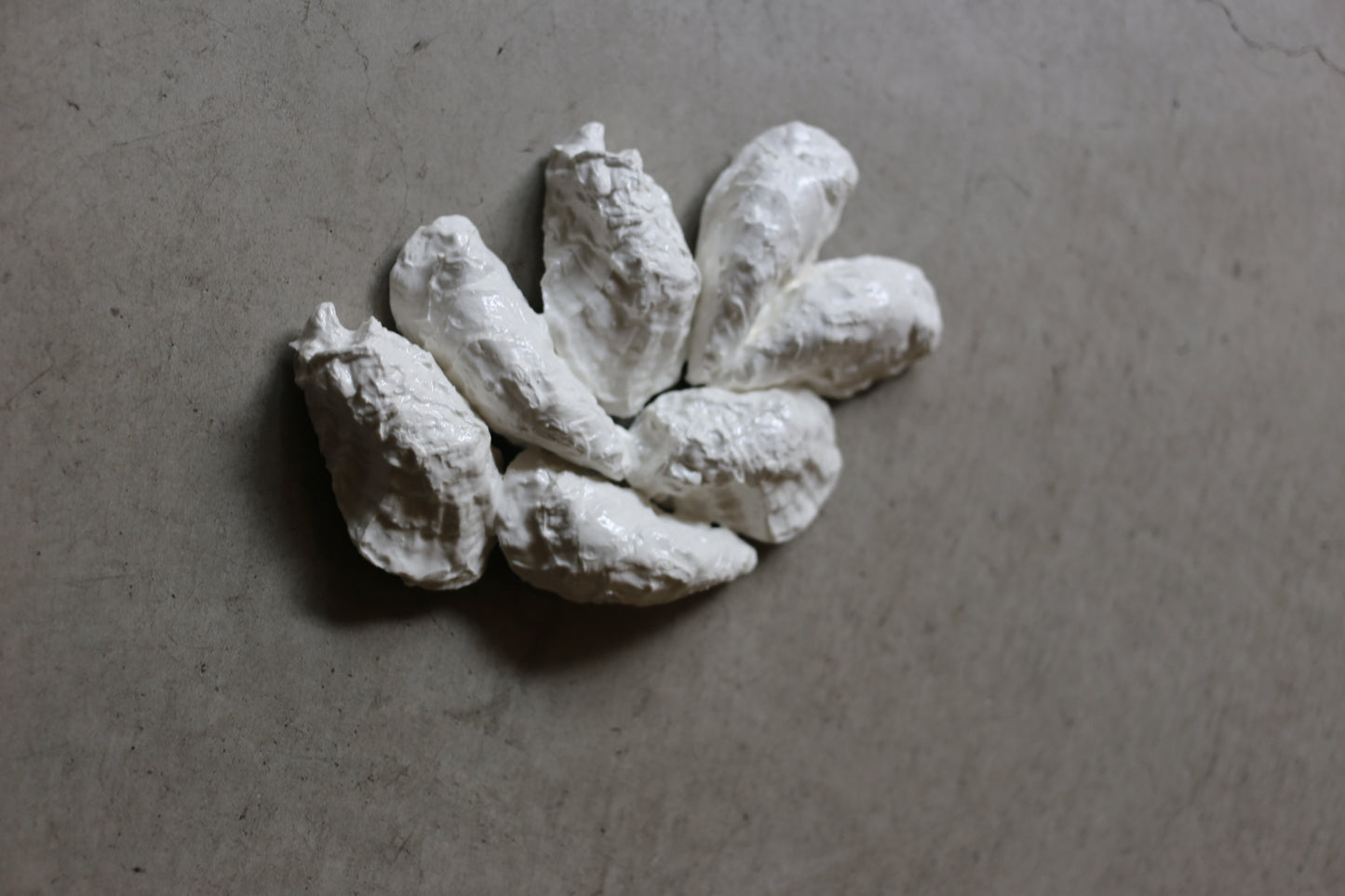 【éphēlis】Oyster Cast - Wall Piece