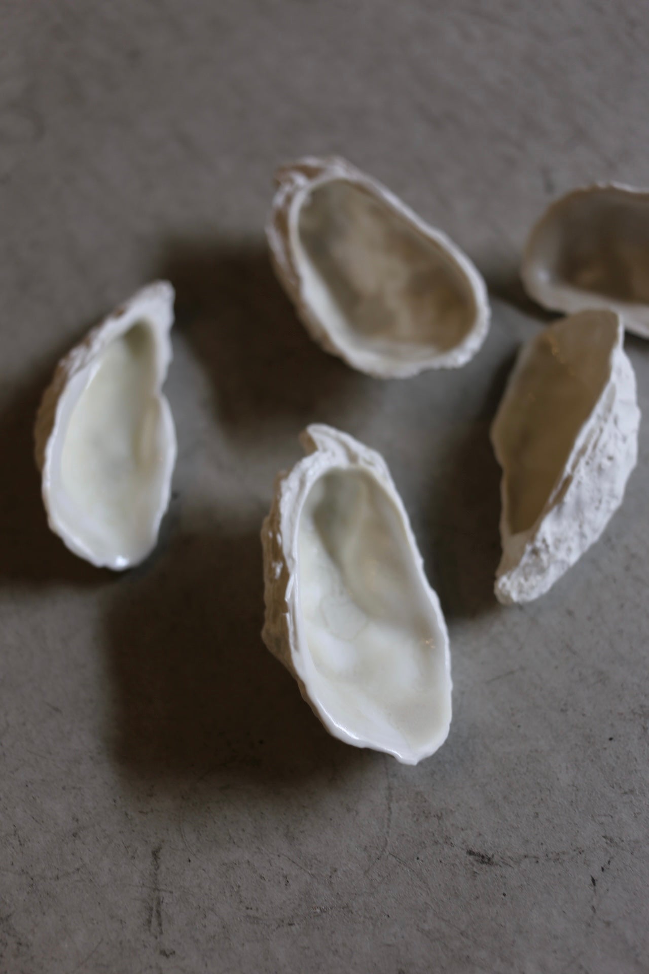 【éphēlis】Oyster cast