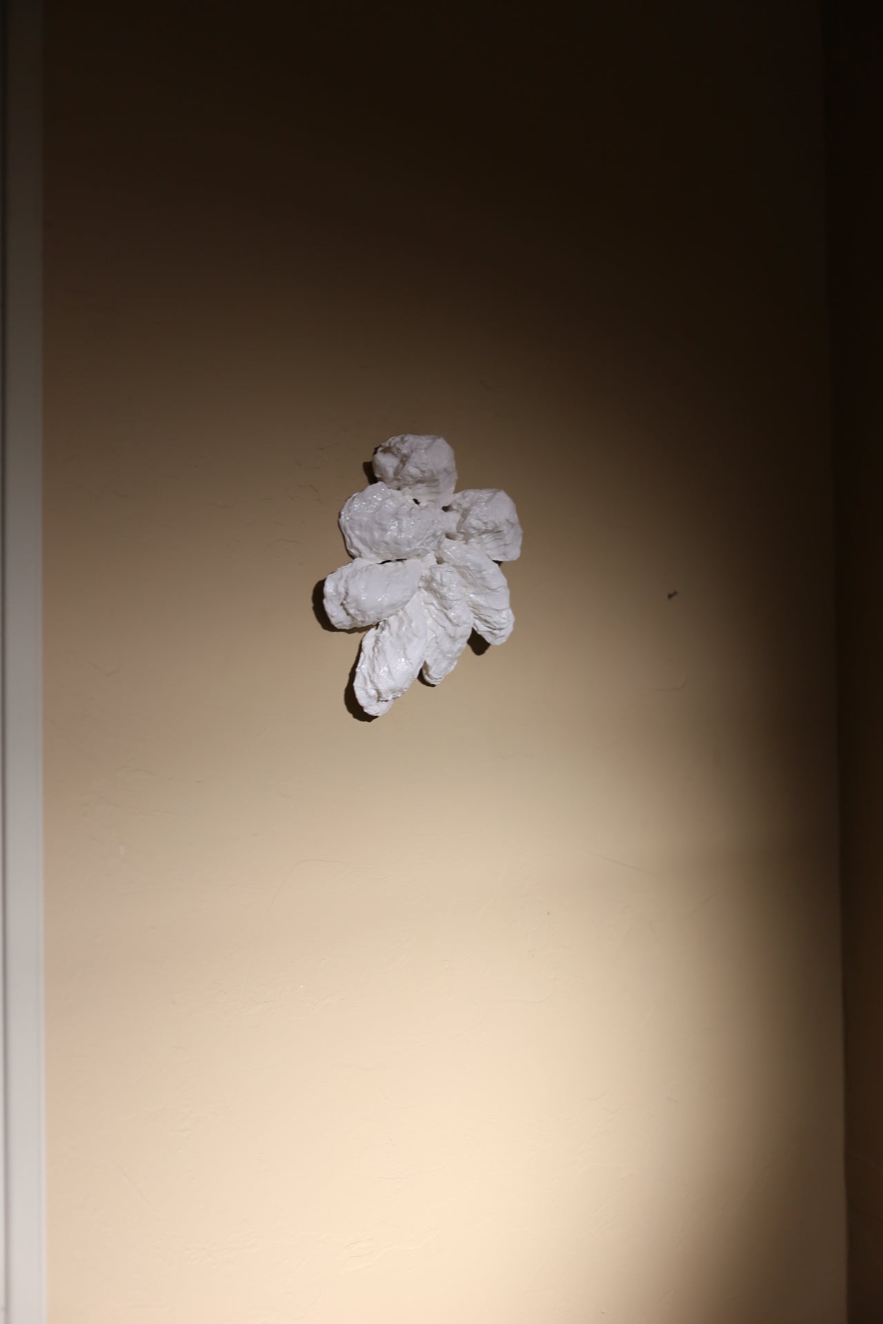 【éphēlis】Oyster Cast - Wall Piece