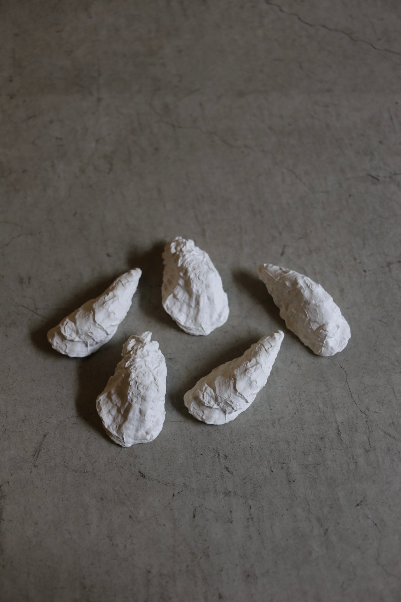 【éphēlis】Oyster cast