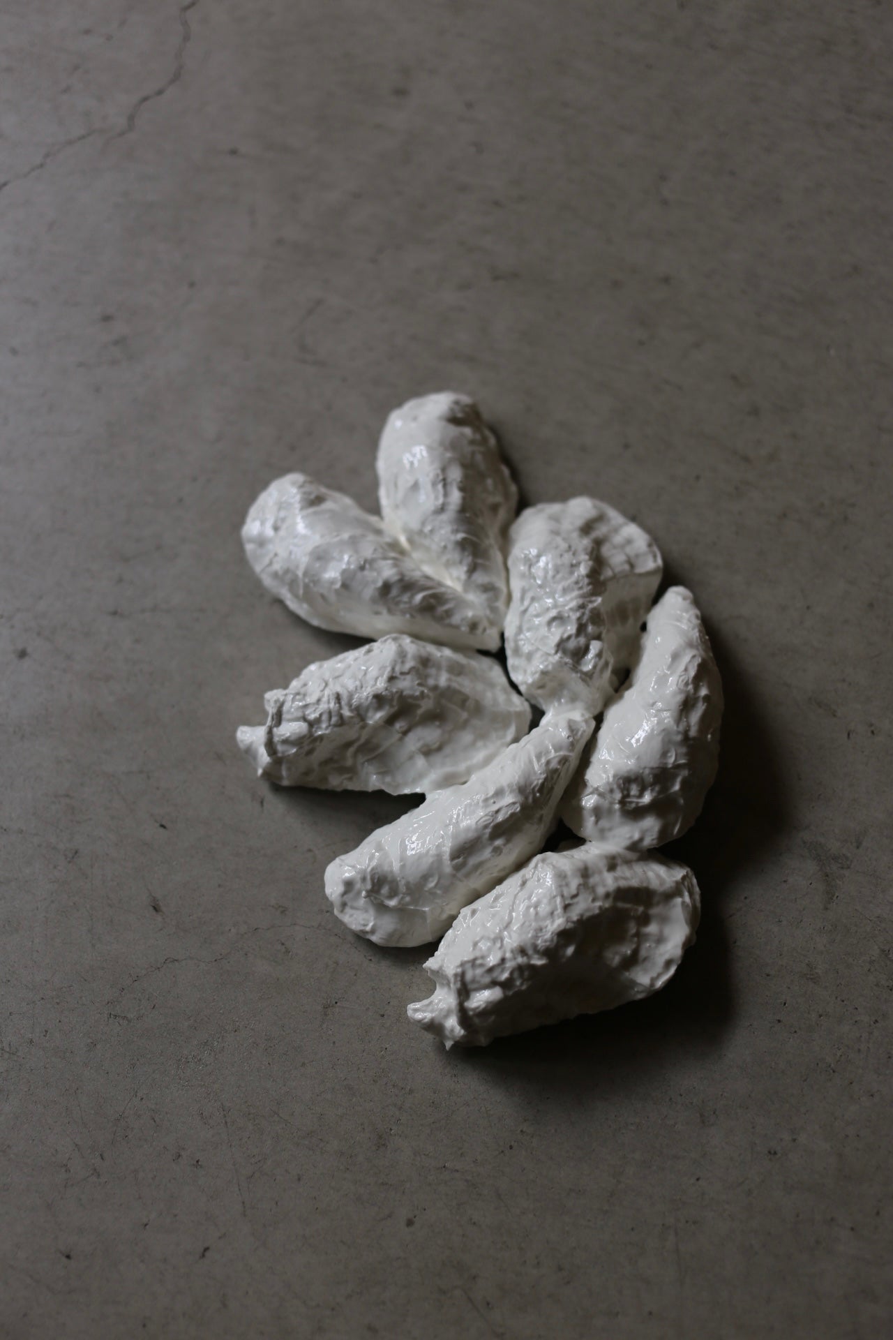 【éphēlis】Oyster Cast - Wall Piece