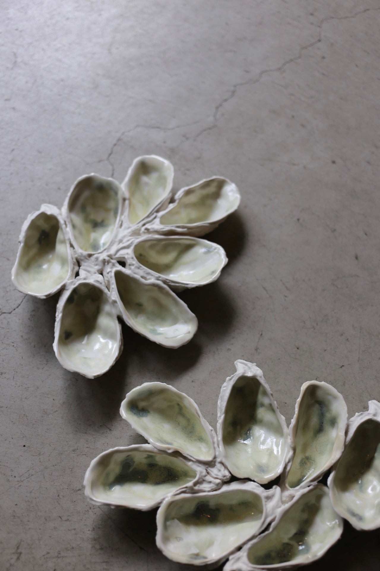 【éphēlis】Oyster Cast - Wall Piece