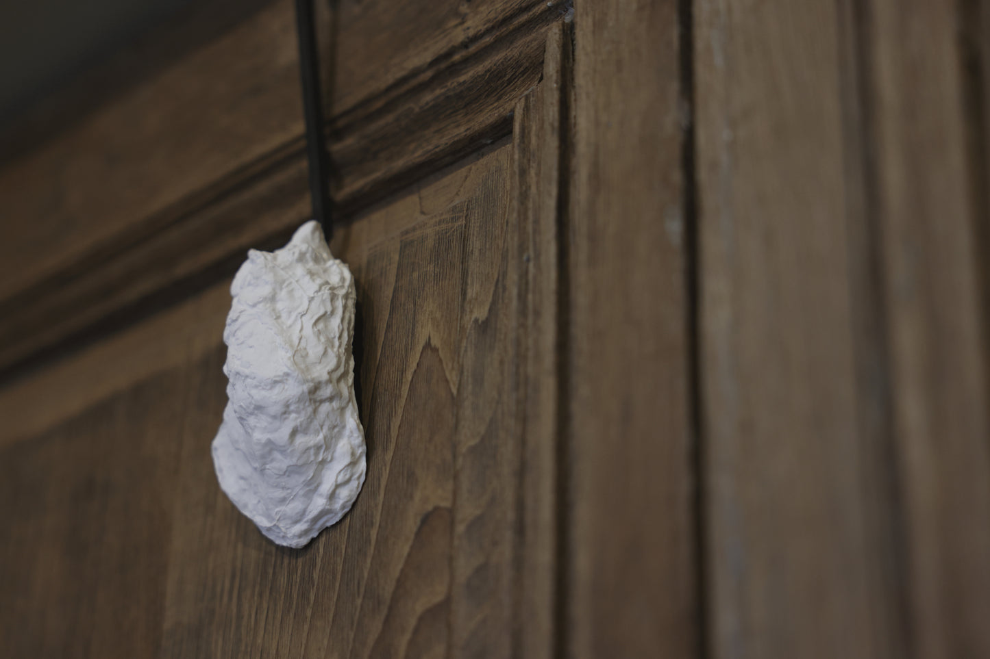 【éphēlis】Oyster cast