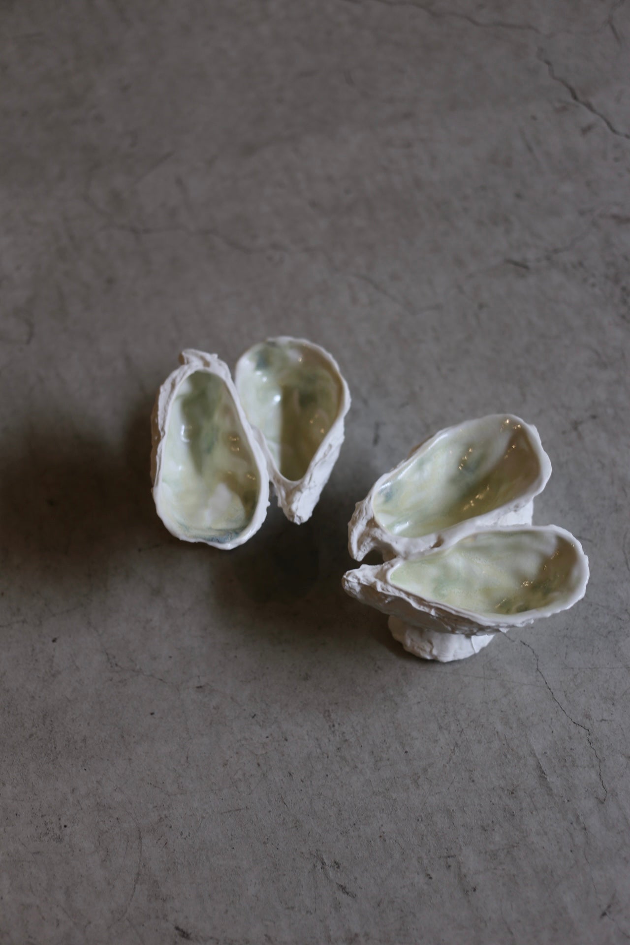【éphēlis】Oyster Reef (3 pcs of oyster)