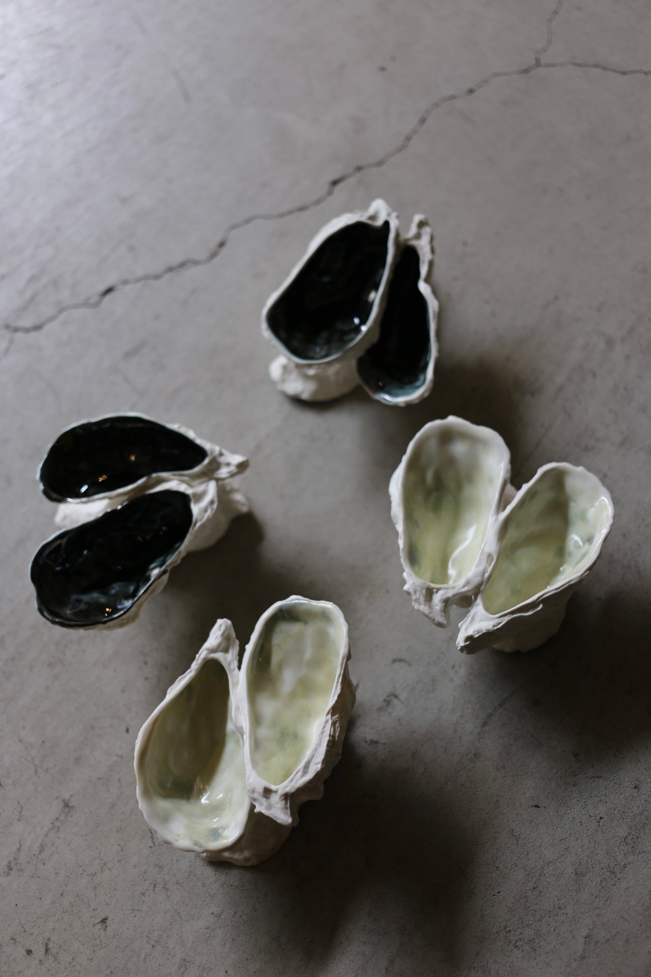 【éphēlis】Oyster Reef (3 pcs of oyster)