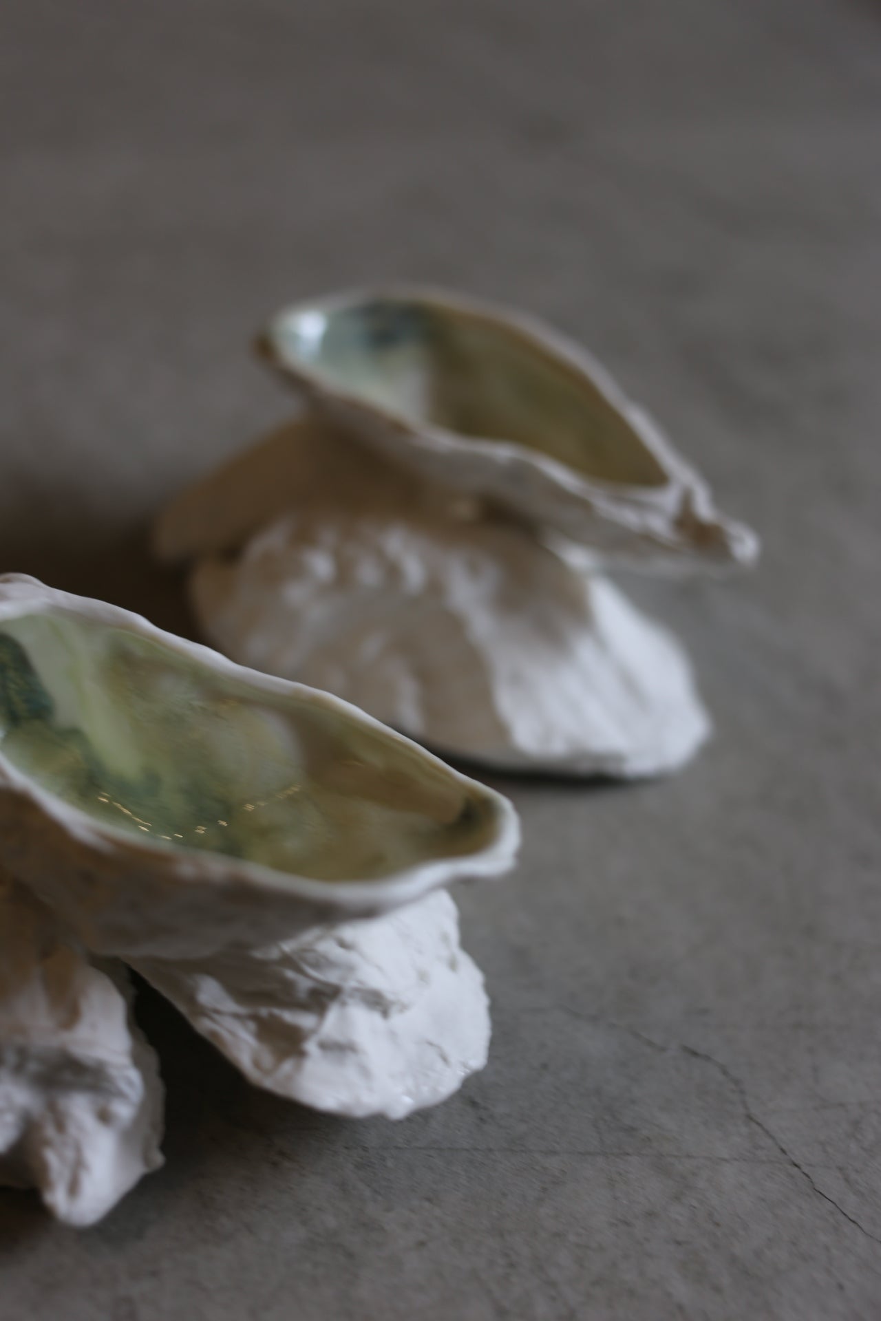 【éphēlis】Oyster Reef (3 pcs of oyster)