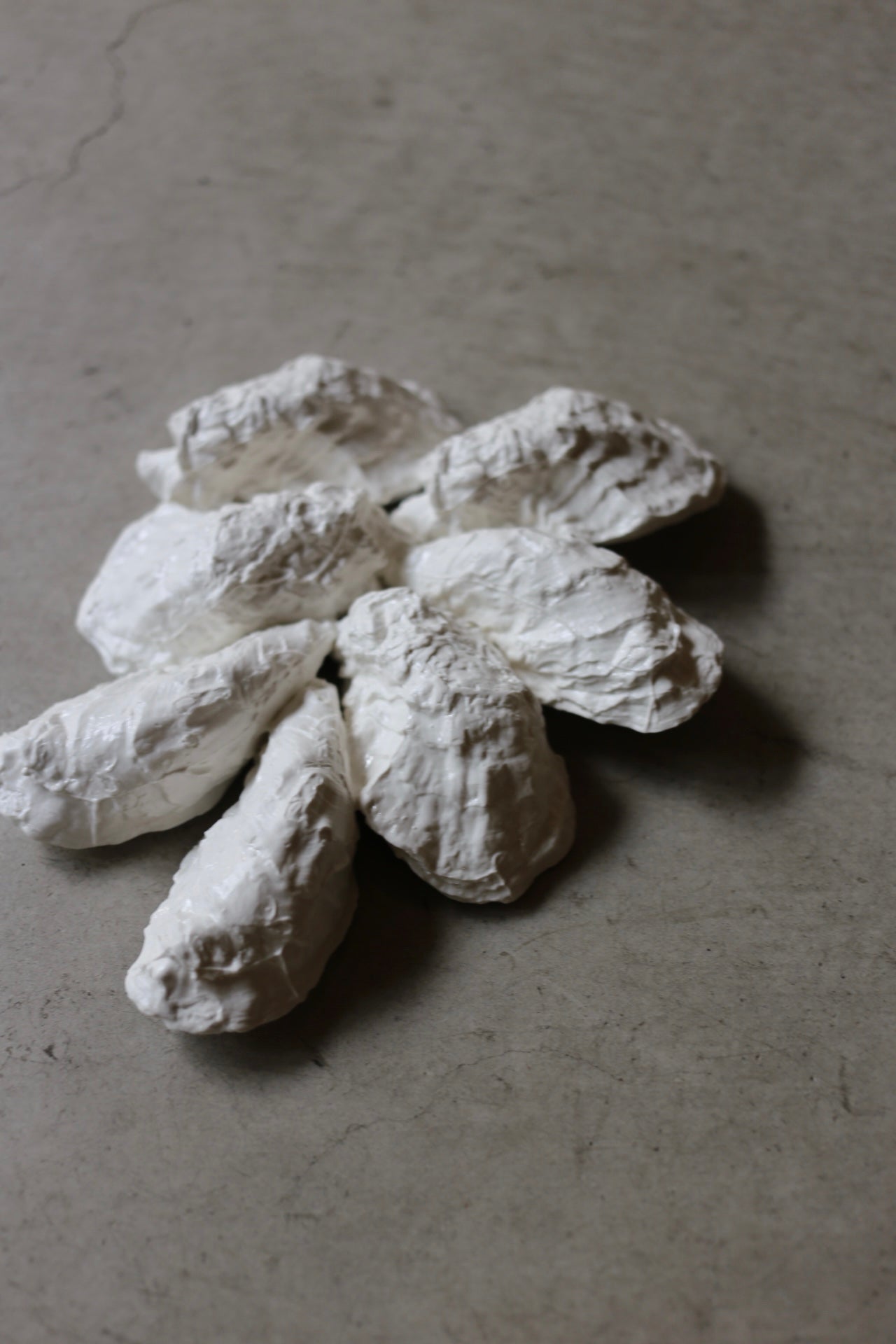 【éphēlis】Oyster Cast - Wall Piece