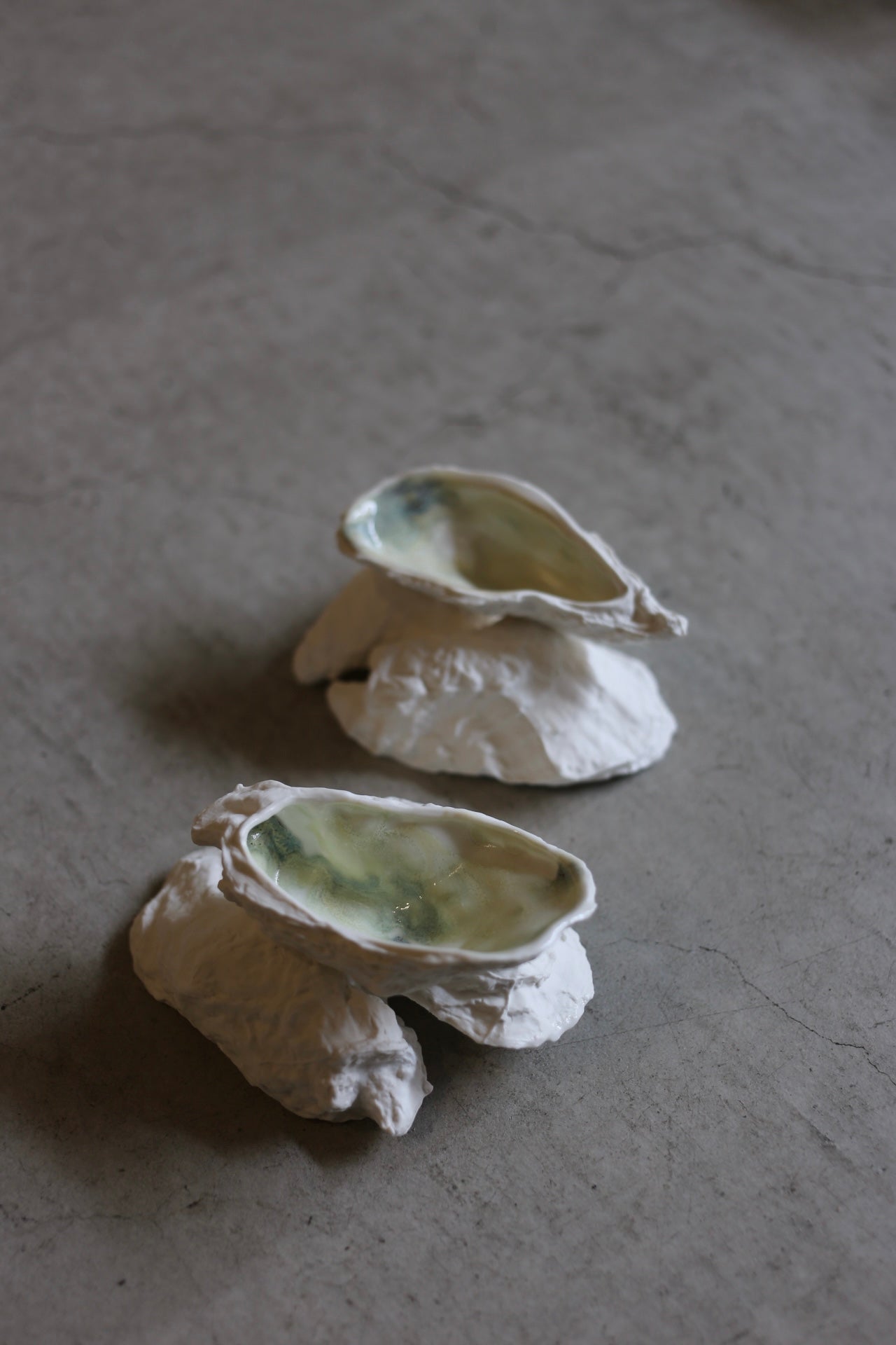 【éphēlis】Oyster Reef (3 pcs of oyster)
