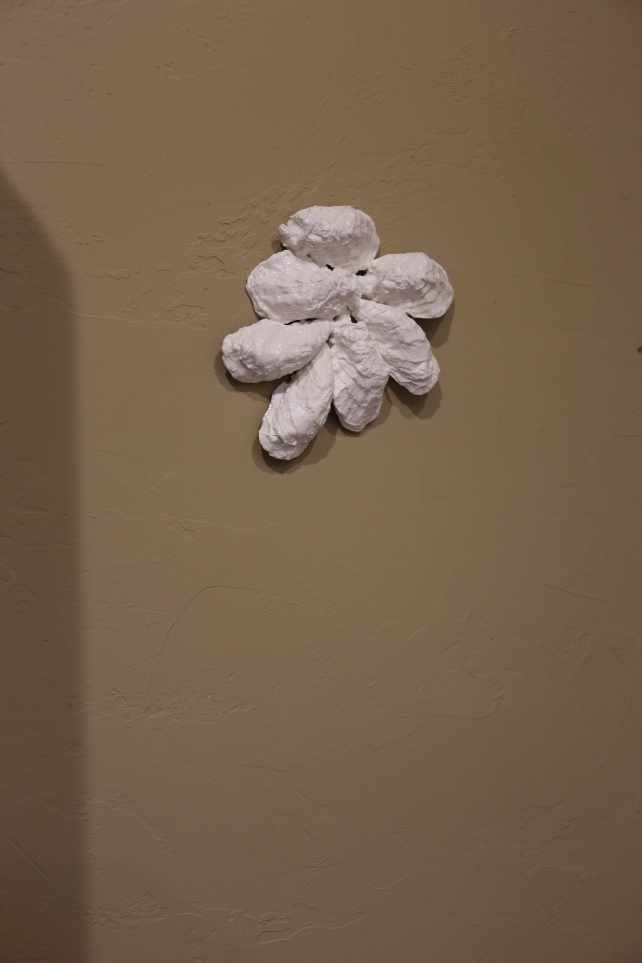 【éphēlis】Oyster Cast - Wall Piece