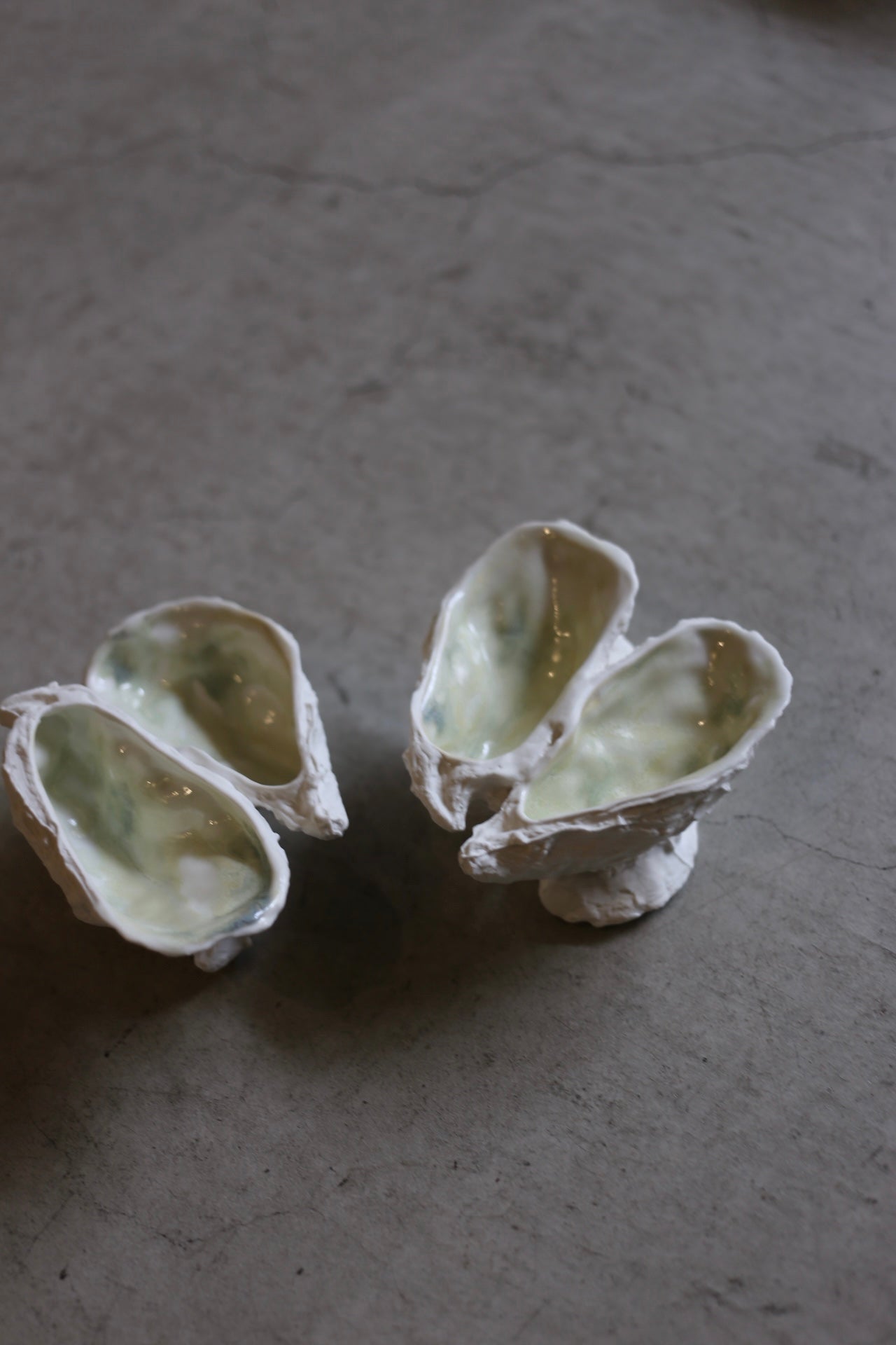 【éphēlis】Oyster Reef (3 pcs of oyster)