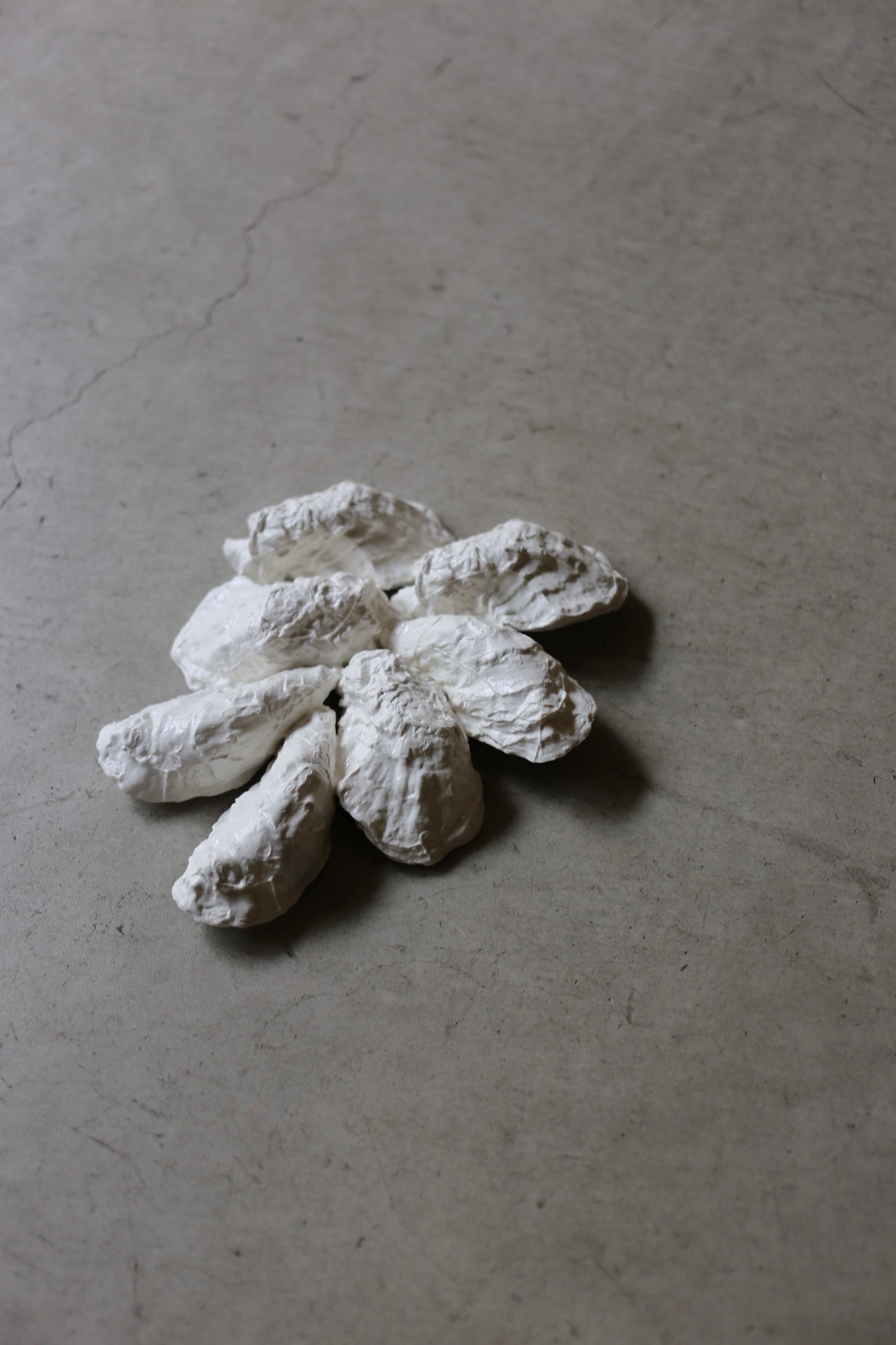 【éphēlis】Oyster Cast - Wall Piece