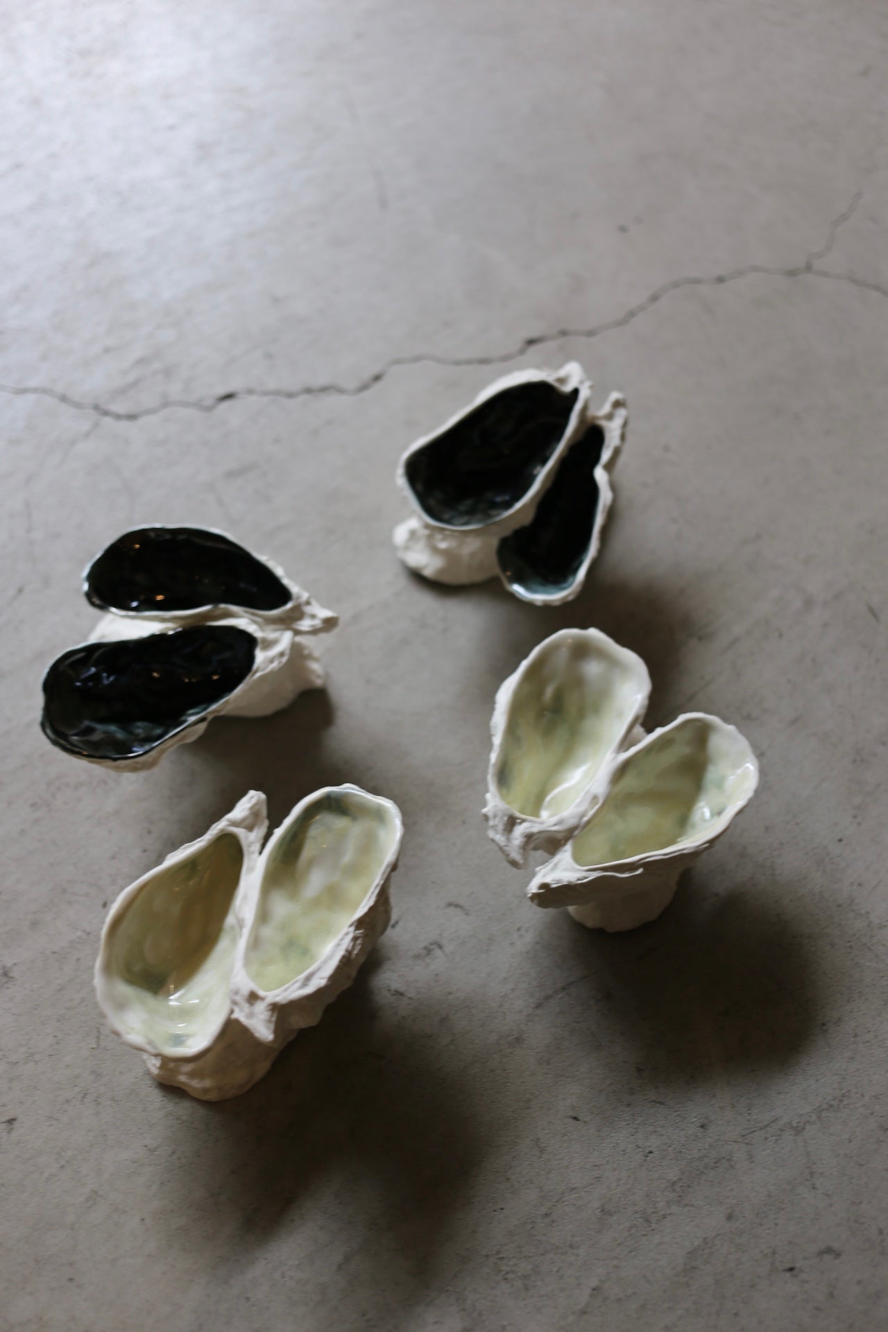 【éphēlis】Oyster Reef (3 pcs of oyster)