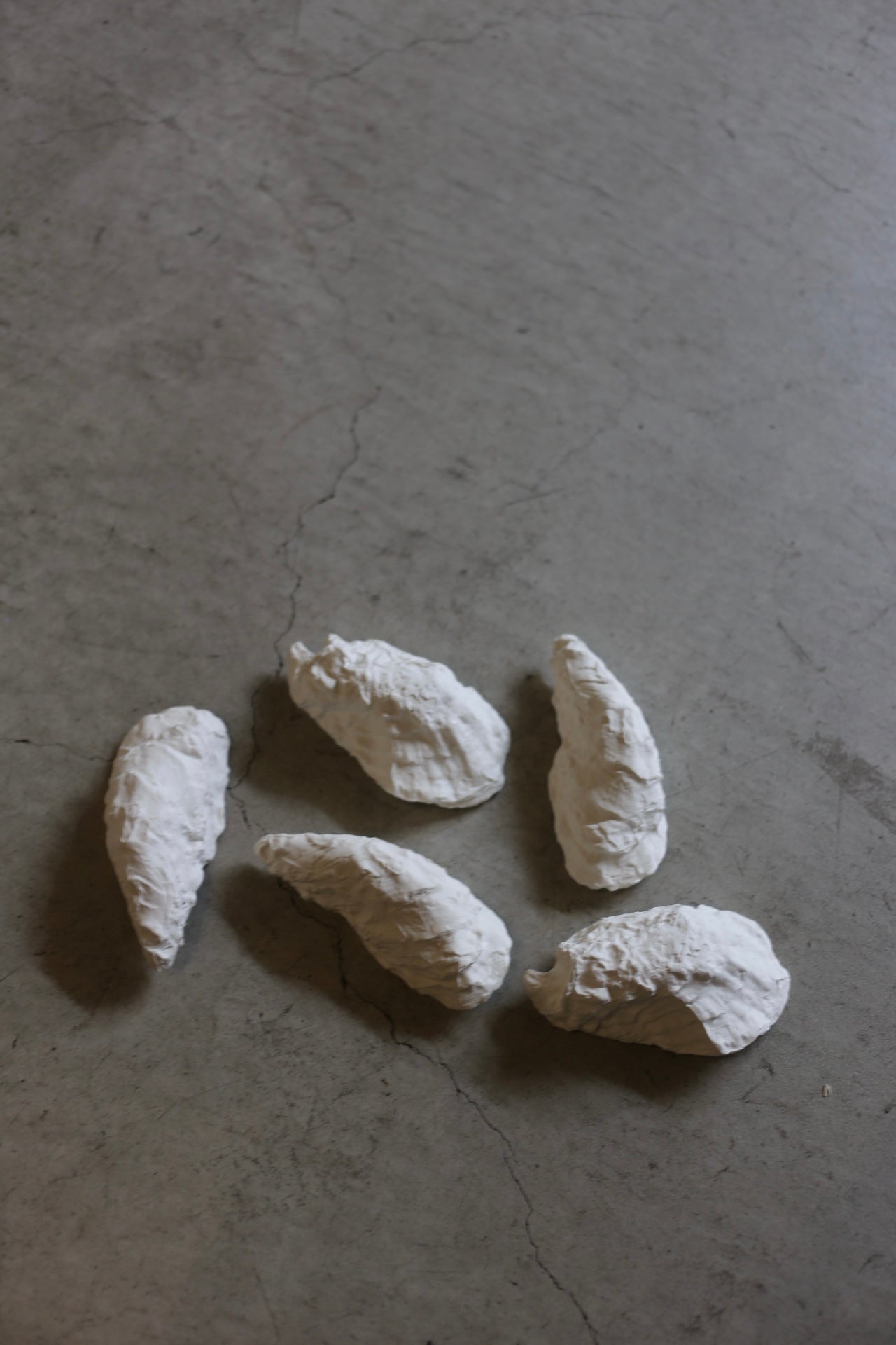 【éphēlis】Oyster cast