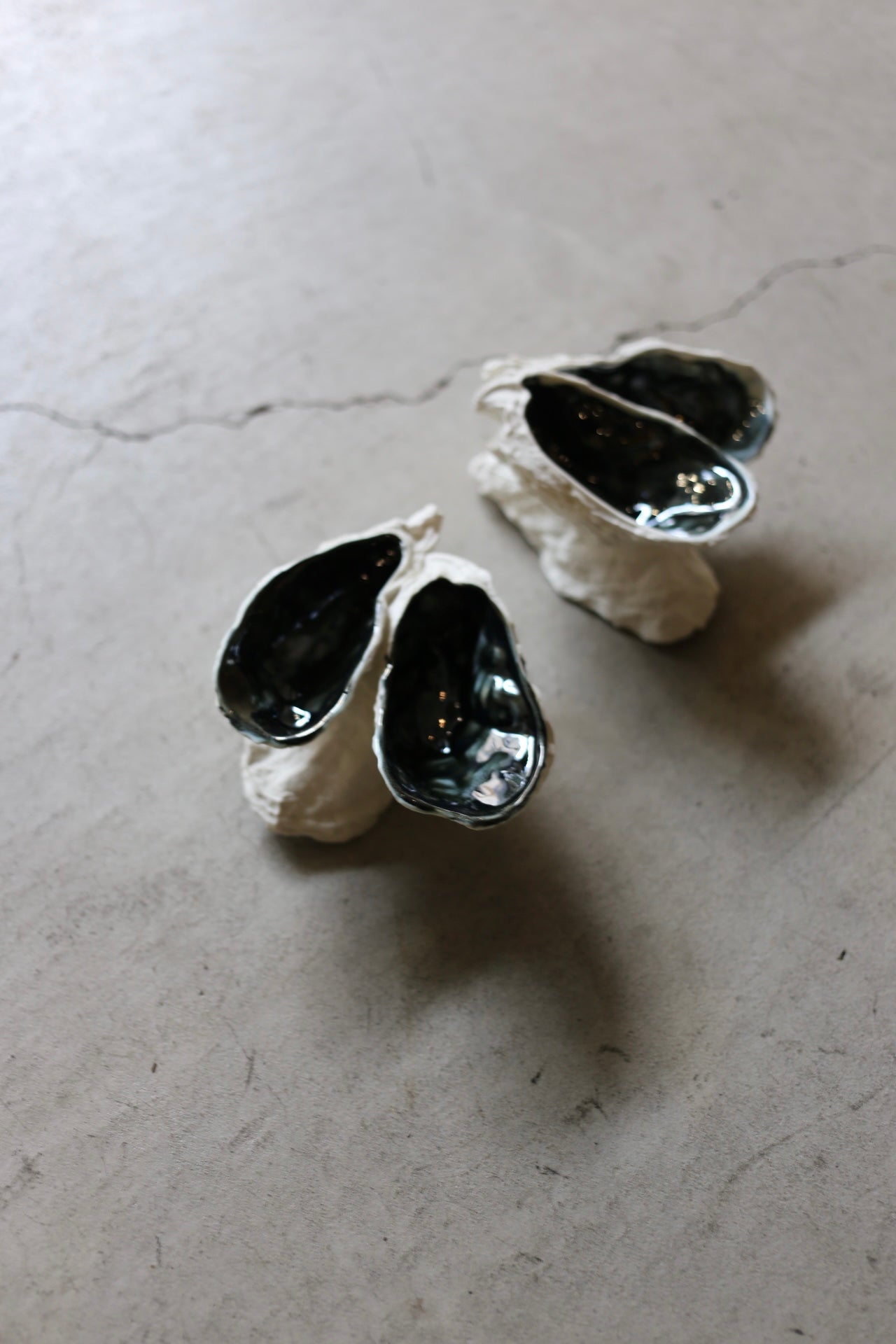 【éphēlis】Oyster Reef (3 pcs of oyster)