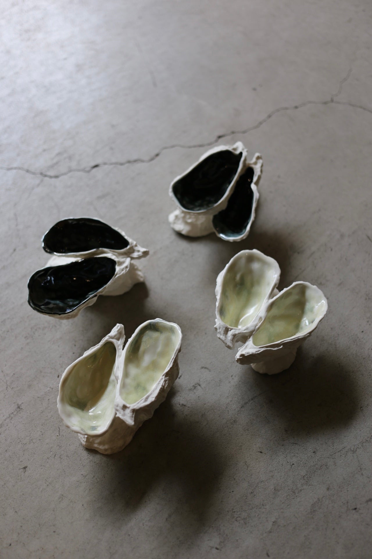 【éphēlis】Oyster Reef (3 pcs of oyster)