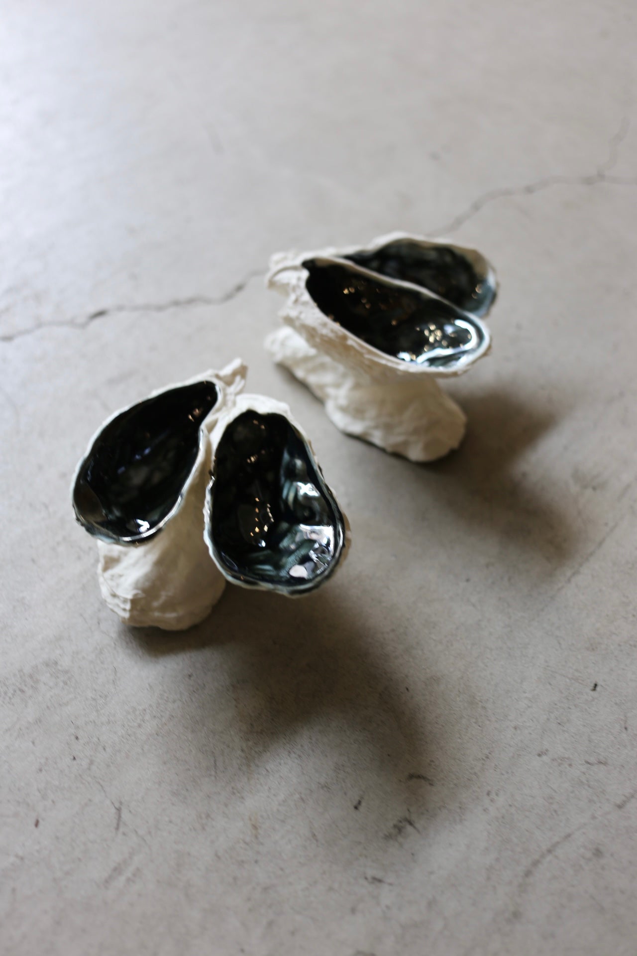 【éphēlis】Oyster Reef (3 pcs of oyster)