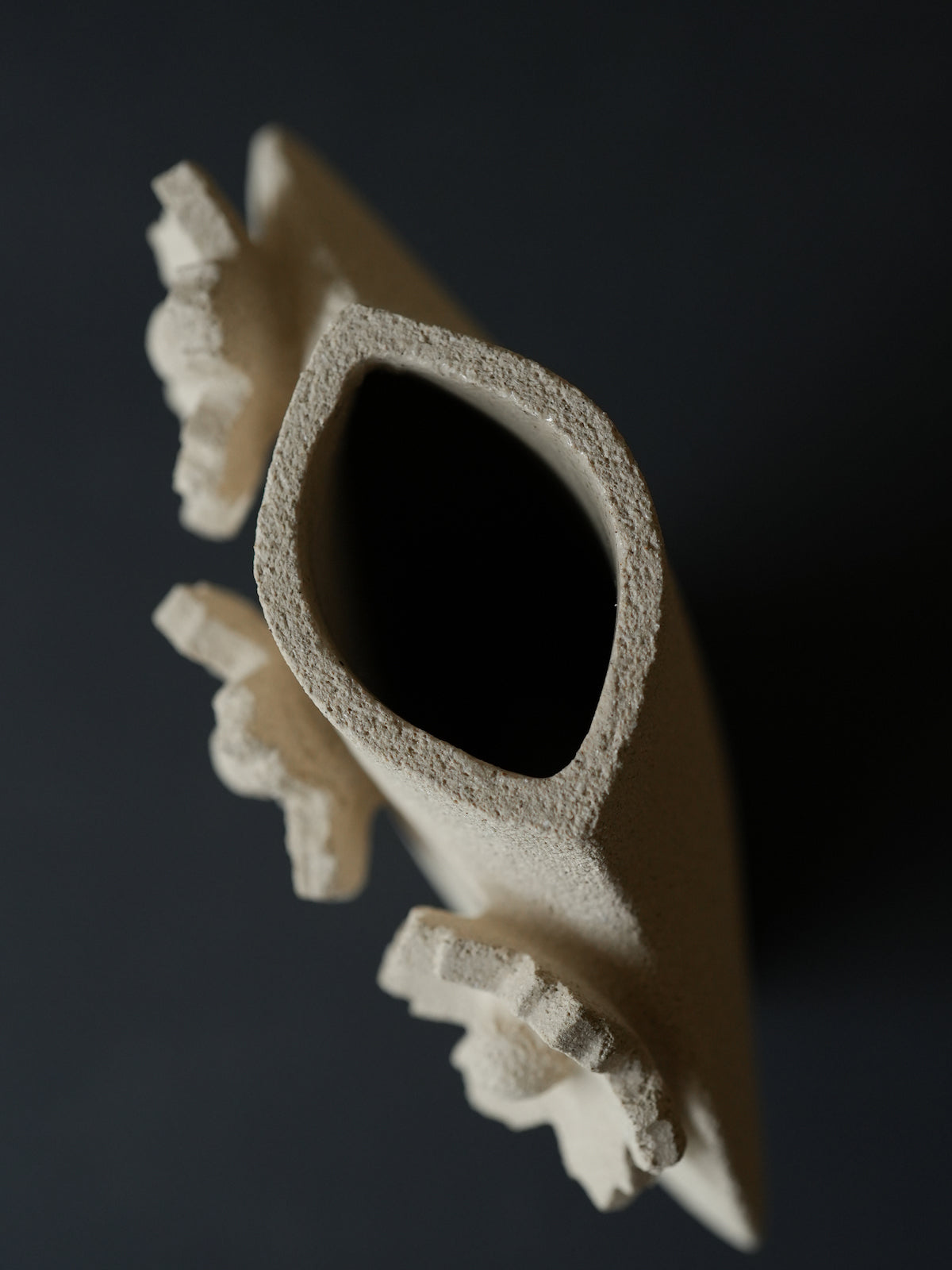 【INI CERAMIQUE】Sculptural Flowers - Dal