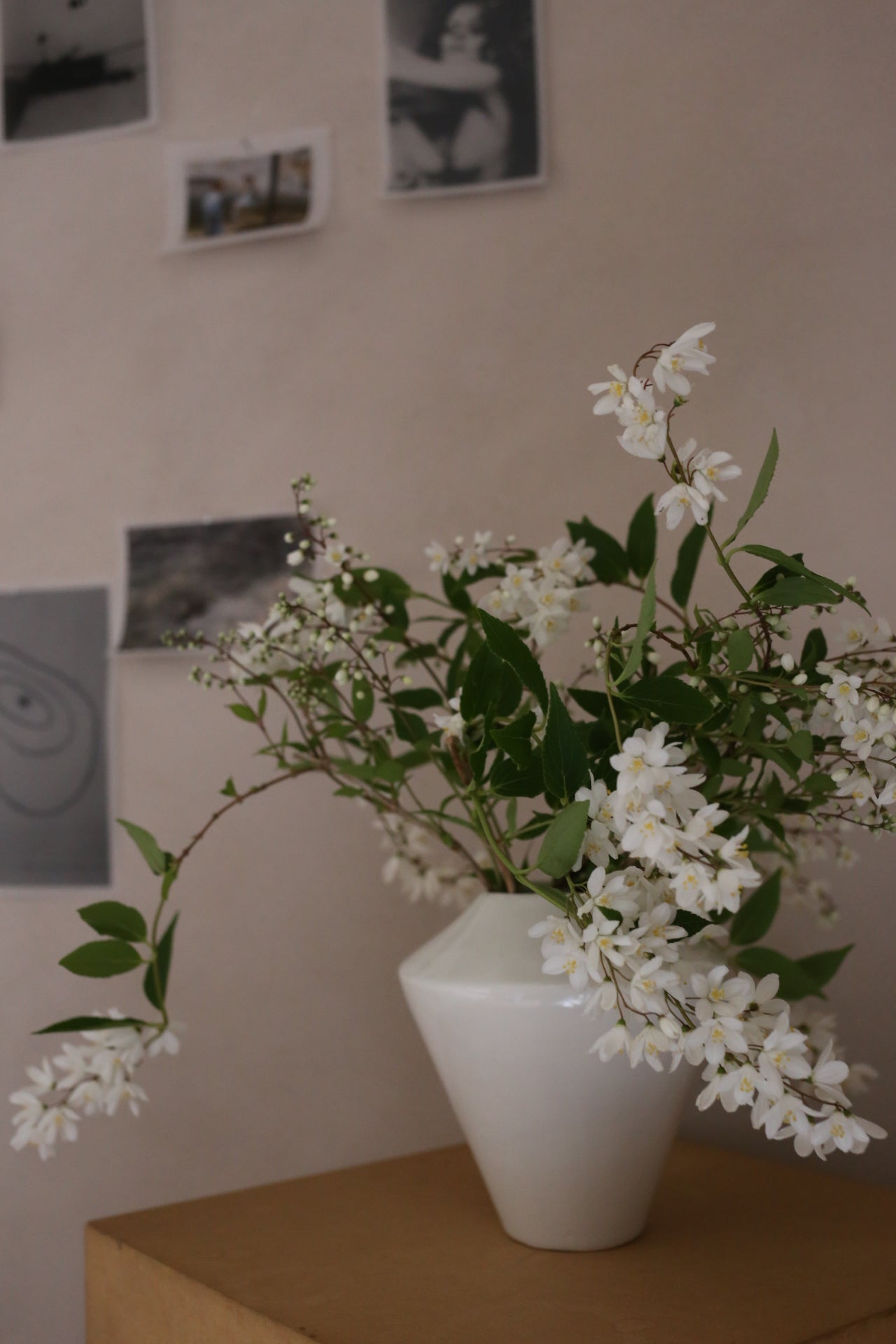 【ARC objects】shadow vase