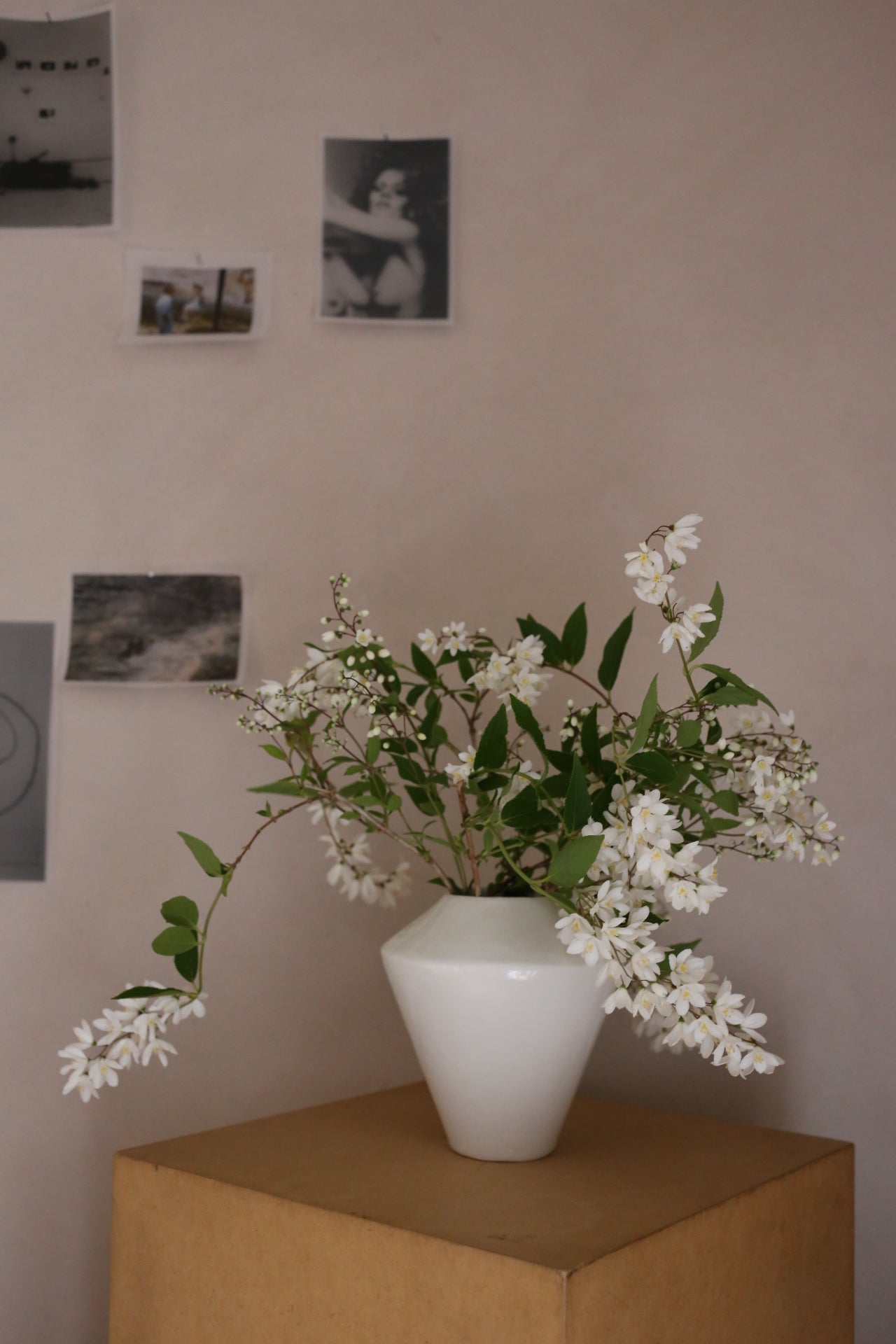 【ARC objects】shadow vase