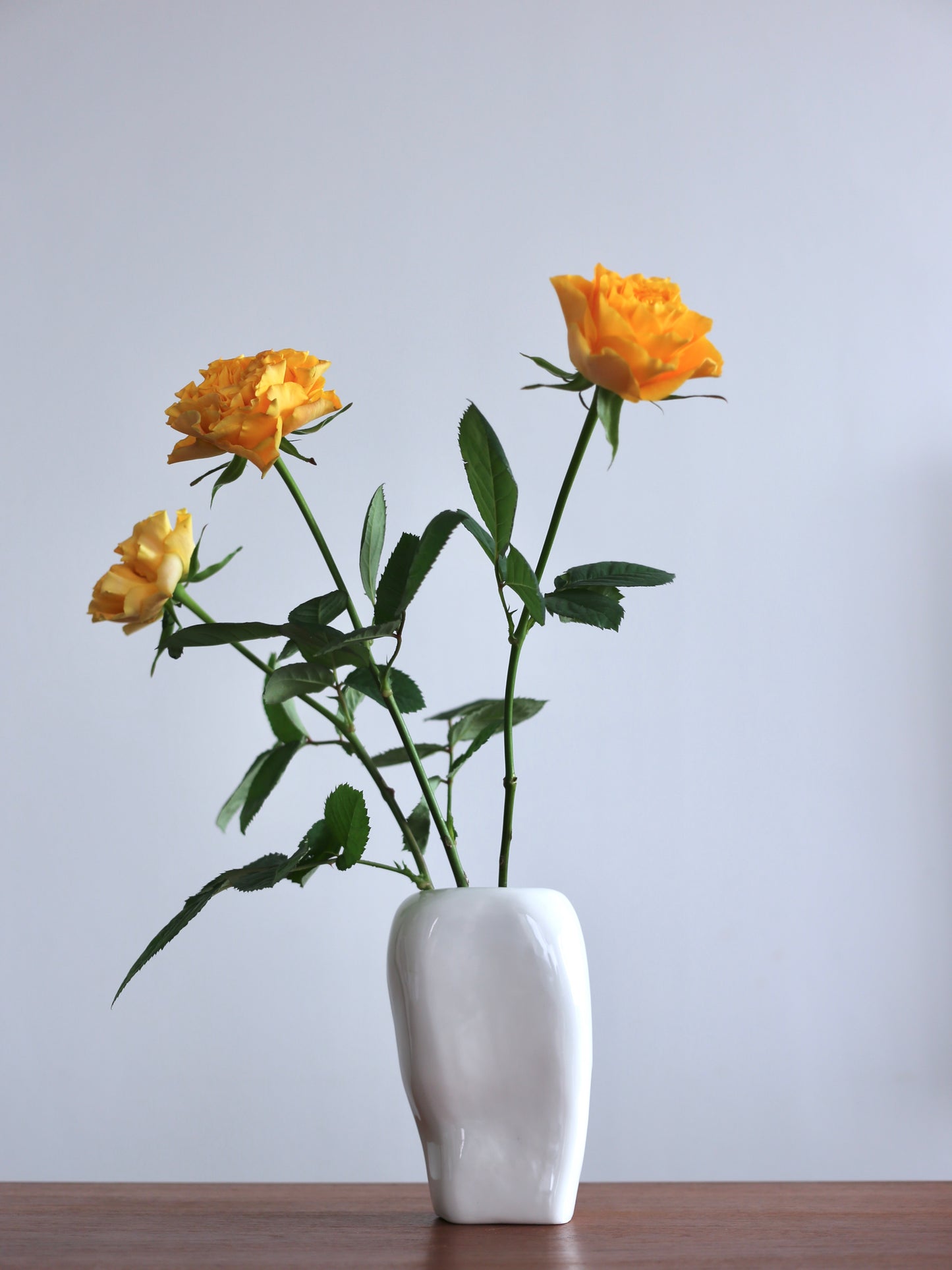 【ARC objects】air vase