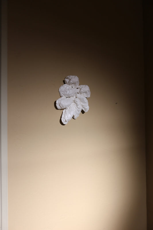 【éphēlis】Oyster Cast - Wall Piece